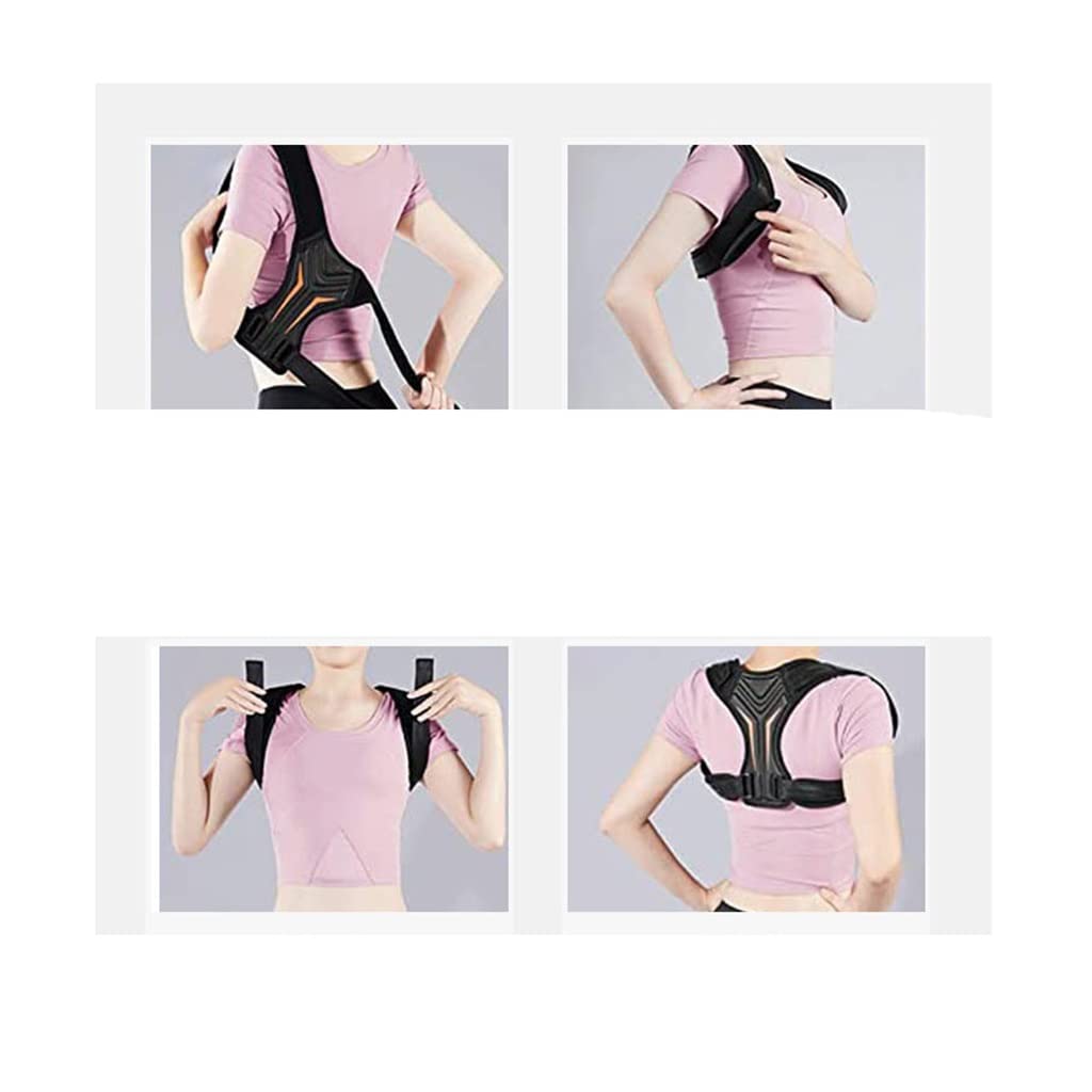 AlignX Elite — Premium Posture Corrector & Spine Support