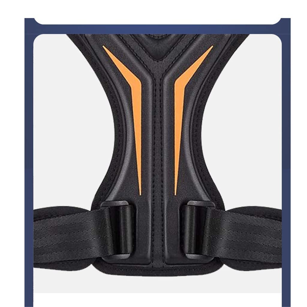 AlignX Elite — Premium Posture Corrector & Spine Support