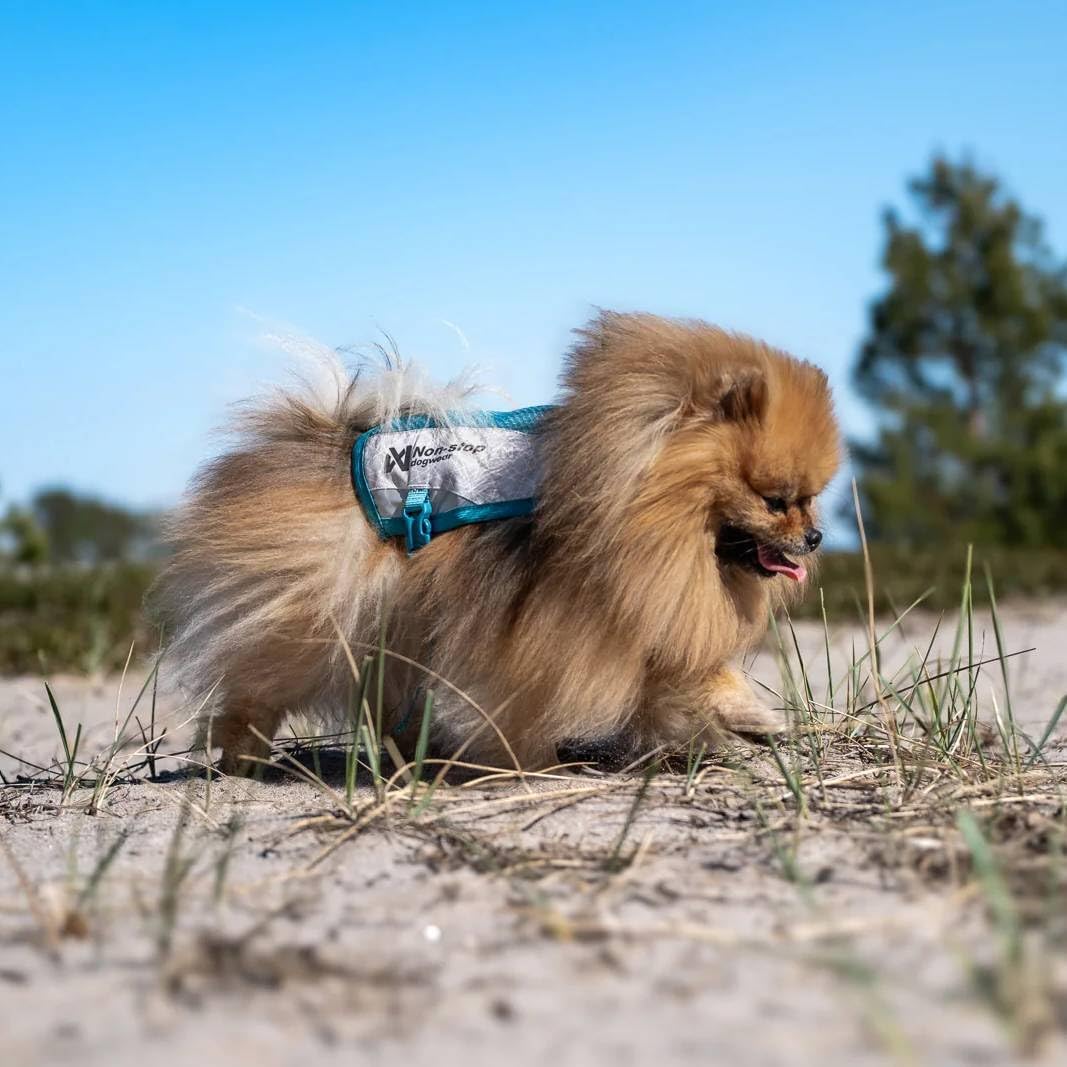PawLux CoolVest — Premium Dog Cooling Vest